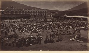 Plaza e Palazzo del Viceré-Antigua de Guatemala, 1877 (foto) da Eadweard Muybridge