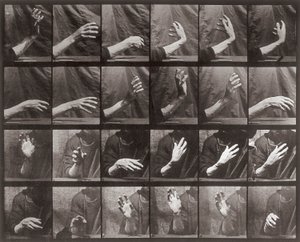 Sequenza con movimento della mano, tavola 535 da Animal Locomotion
