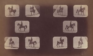 Studi di scorci. Cavalli. Camminare. Maometto. N. 119-120 da Eadweard Muybridge