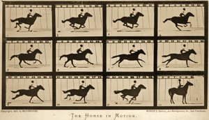 Il cavallo in movimento, serie 