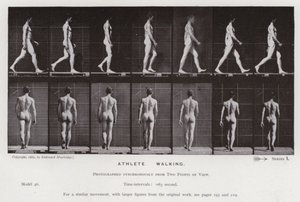 La figura umana in movimento: Atleta, camminando da Eadweard Muybridge