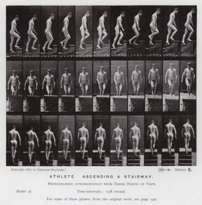 Figura umana in movimento: Atleta che sale una scala da Eadweard Muybridge