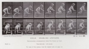 Figura umana in movimento: Bambino che gattona su per le scale da Eadweard Muybridge