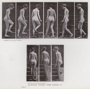 Figura umana in movimento: Fasi selezionate dalla serie 41 da Eadweard Muybridge