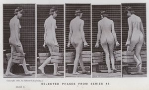 La figura umana in movimento: Fasi selezionate dalla serie 43 da Eadweard Muybridge