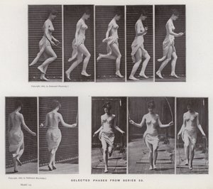 La figura umana in movimento: Fasi selezionate dalla serie 53 da Eadweard Muybridge