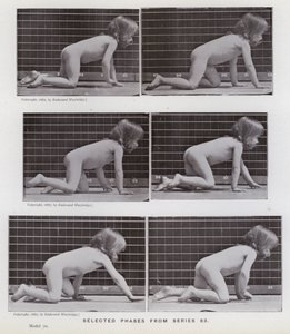 La figura umana in movimento: Fasi selezionate dalla serie 83 da Eadweard Muybridge
