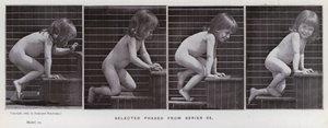 La figura umana in movimento: Fasi selezionate dalla serie 86 da Eadweard Muybridge