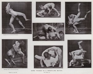 La figura umana in movimento: Alcune fasi in un incontro di lotta da Eadweard Muybridge