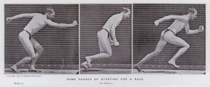 Figura umana in movimento: Alcune fasi di partenza di una corsa da Eadweard Muybridge