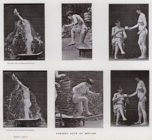 La figura umana in movimento: Vari atti di movimento da Eadweard Muybridge