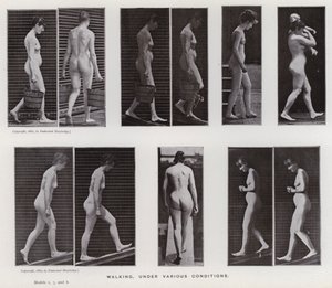 La figura umana in movimento: Camminare, in varie condizioni da Eadweard Muybridge