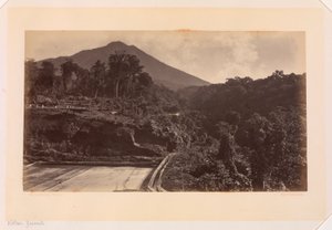 Volcan Zunil, Guatemala da Eadweard Muybridge