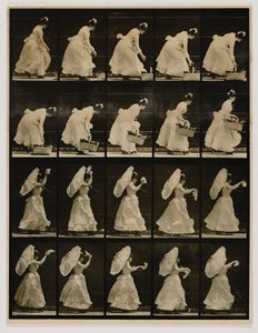 Donna che solleva un cesto e sventola un fazzoletto, dal libro Locomozione animale da Eadweard Muybridge