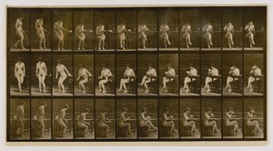 Donna seduta, con le gambe incrociate, che beve da una tazza da tè, dal libro Animal Locomotion da Eadweard Muybridge