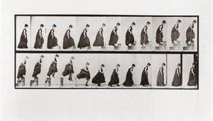 Donna che sale le scale e salta giù, Tavola 173 da Animal Locomotion da Eadweard Muybridge