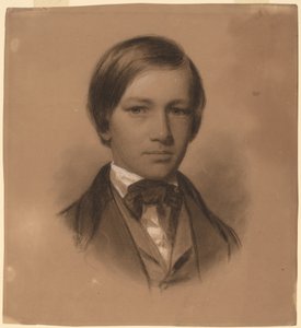Ritratto di un giovane uomo da Eastman Johnson