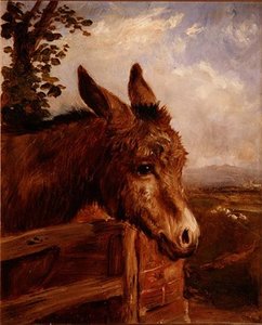 Un asino a un cancello