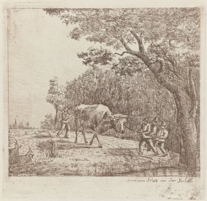 Quattro uomini e un toro da Eberhard Cornelis Rahms