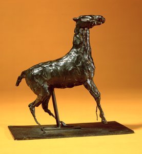 Cavallo caracollante