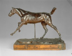 Cavallo al galoppo sul piede destro