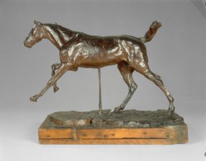 Cavallo al Galoppo sul Piede Destro, fine 1880