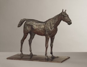 Cavallo in piedi