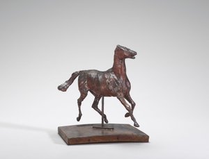 Cavallo al Trotto, i Piedi Non Tocano il Suolo