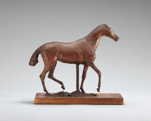 Cavallo che cammina