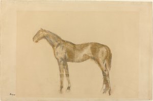 Cavallo, c. 1890
