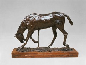 Cavallo con Testa Abbassata