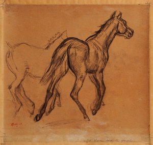 Cavalli, c.1882 da Edgar Degas