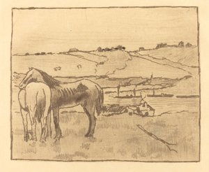 Cavalli nel Prato (Chevaux dans la prairie)