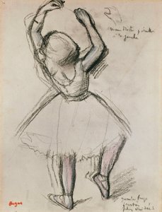 Vista posteriore di una ballerina