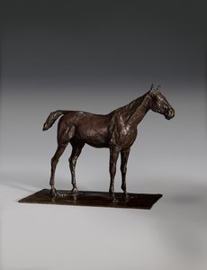 Cavallo in piedi