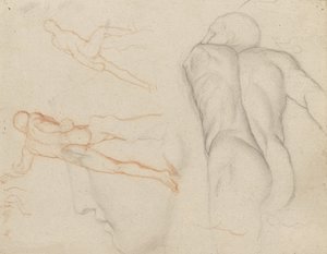 Studi del 