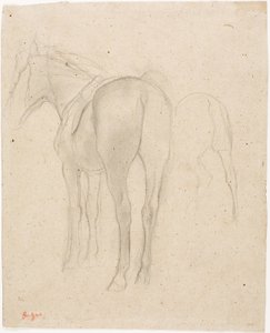 Studi di un cavallo