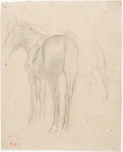 Studi su un cavallo