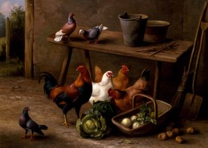 Polli, piccioni e colombe da Edgar Hunt