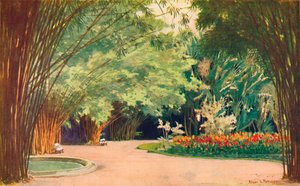 Un boschetto di bambù - Giardini botanici, 1914 da Edgar L. Pattison