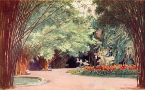Un boschetto di bambù, Giardini Botanici