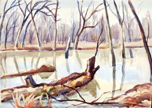 Rock Creek, Inverno