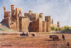 Spagna settentrionale: Olite, il castello