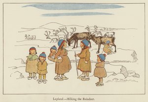 Lapponia, mungitura della renna da Edith Farmiloe