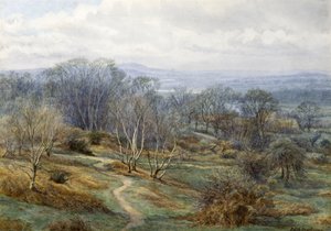 Hampstead Heath verso Harrow on the Hill