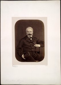 Ritratto di Victor Hugo a Guernsey da Edmond Bacot