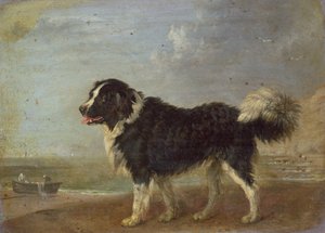 Immagine sconosciuta da Edmund Bristow