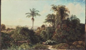 Paesaggio cubano da Edmund Darch Lewis