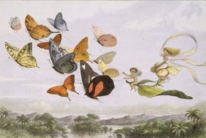 Nel paese delle fate: Una serie di immagini dal mondo degli elfi
