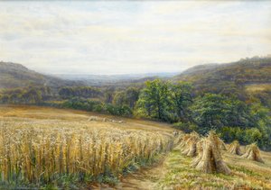Tempo di raccolta vicino ad Ashburton, 1884